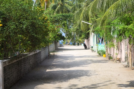 Maldivian street with palms, colored houses and an isolated scooter (Ari Atoll, Maldives)の写真素材