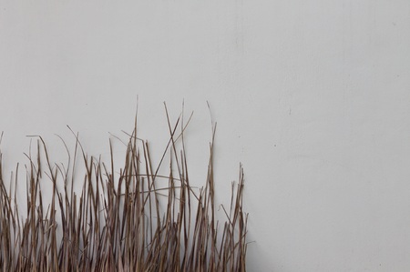 Dried palm leaves on a wallの写真素材