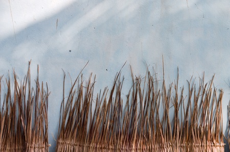 Dried palm leaves on a wallの写真素材