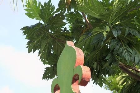 Detail of a maldivian decoration