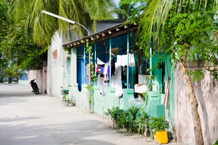 Maldivian street with palms and colored houses (Ari Atoll, Maldives)の写真素材