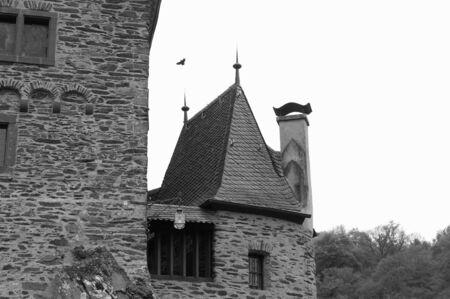 Black and white photo of a medieval bird