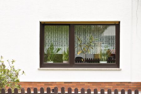 Isolated black window in a white wall with plants and curtains