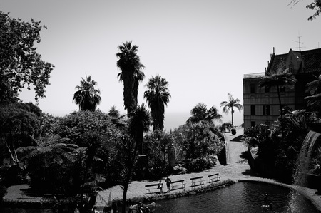 Monte, Funchal, Madeira, Portugal - August 26, 2019: Panoramic view of the tropical and botanical gardenのeditorial素材