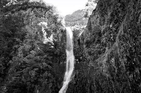 'Risco' waterfall in the forest of Madeira island (Portugal, Europe)の写真素材