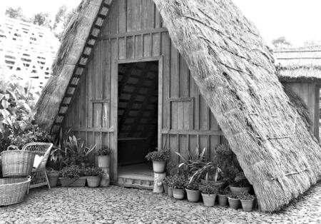 Traditional timbered house of Santana in Madeira Islandの写真素材