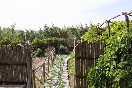 Courtyard entrance in the garden of a rural house (Madeira, Portugal, Europe)の写真素材