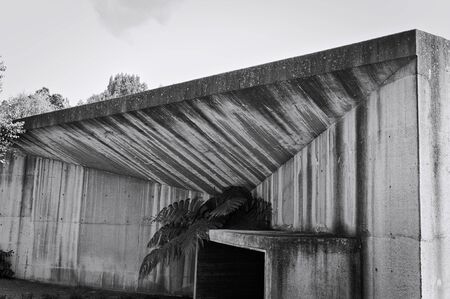 Modern concrete building with a plant in the roof (Madeira, Portugal)の写真素材