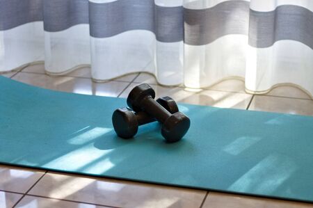 Gym workout at home with two small dumbbell weights and a gym mat (Pesaro, Italy, Europe)の写真素材