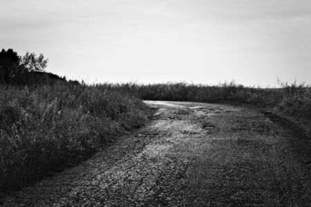 Country asphalt road that shines at sunset (Pesaro, Italy, Europe)