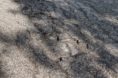 'Crocodile cracking' is an asphalt pavement distress most often instigated by failure of the surface due to traffic loads (Pesaro, Italy, Europe)の写真素材