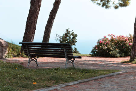 A garden with trees, plants, flowers and benches with a panoramic view above the Mediterranean sea (Pesaro, Italy, Europe)の写真素材
