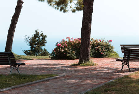 A garden with trees, plants, flowers and benches with a panoramic view above the Mediterranean sea...