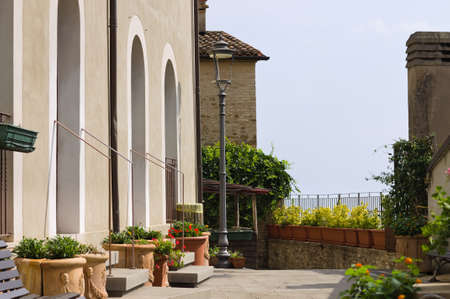 A courtyard in a terrace with plants, a bench and a lamppost on a sunny day (Pesaro, Italy, Europe)