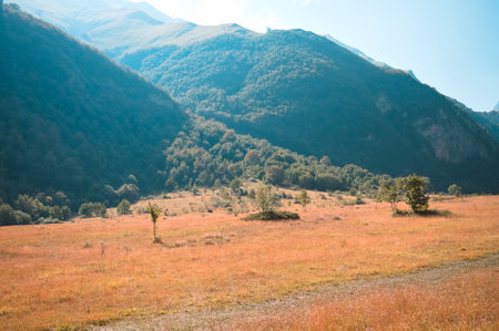 A meadow surrounded by mountains (Marche, Italy, Europe)