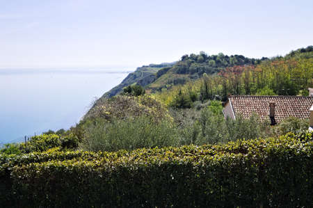 Panoramic view of 'Monte San Bartolo National Park' from behind a hedge of a garden (Pesaro, Marche, Italy, Europe)の写真素材