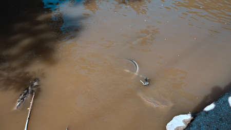 A bicycle that emerges from the water of a river (Marche, Italy, Europe)の写真素材