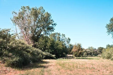 A deserted countryside trail on a summer day (Marche, Italy, Europe)の写真素材