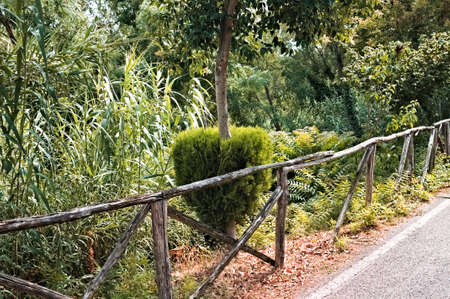 Wooden fence at the edge of a pedestrian street in a public park (Marche, Italy, Europe)の写真素材
