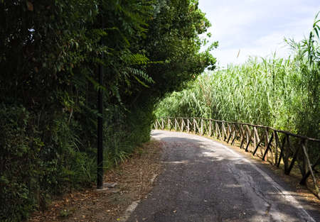 A pedestrian street with a wooden fence in the middle of a public park with trees and plants (Marche, Italy, Europe)の写真素材