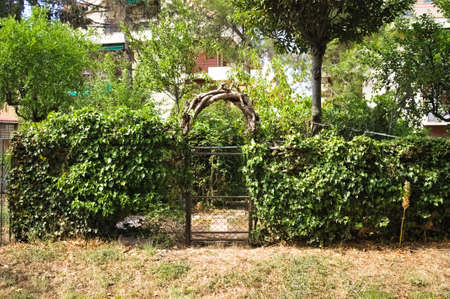 A little gate of a vegetable garden surrounded by plants and trees (Marche, Italy, Europe)の写真素材