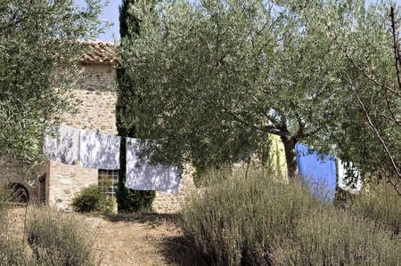 Towels and clothes hanging out to dry in the garden of a farm in the Italian countryside (Tuscany, Italy, Europe)の写真素材