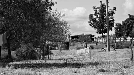 Towels and clothes hanging out to dry in the garden of a farm in the Italian countryside (Tuscany, Italy, Europe)の写真素材