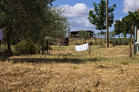 Towels and clothes hanging out to dry in the garden of a farm in the Italian countryside (Tuscany, Italy, Europe)の写真素材