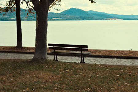 An isolated empty bench under the tree in a public park near a pedestrian walkway in front of Lake Trasimeno (Umbria, Italy, Europe)の写真素材