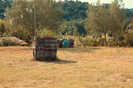 An isolated barrel in a meadow in the Tuscan countryside (Tuscany, Italy, Europe)の写真素材