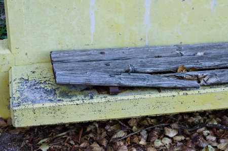 A ruined yellow concrete bench with a broken wooden seat (Pesaro, Italy, Europe)の写真素材