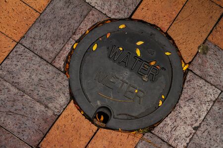 Utility water meter on a brick sidewalk.