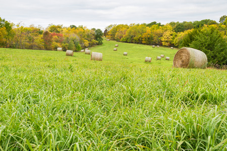 Hay Field during the fall time with hay bales.の写真素材