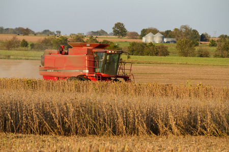 Lowry City, Missouri10/13/2017Farmer in a Case Combine Harvester, harvesting soybean out of a field while on the phoneのeditorial素材