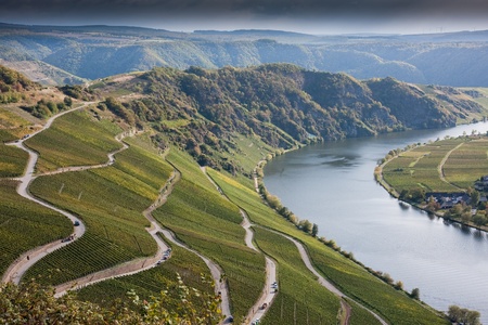 Vin at Mosel Valleyの写真素材
