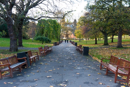 park benchesの写真素材