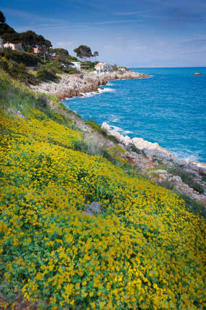 Spring at Cap d Antibesの写真素材