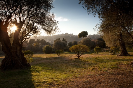 Musee Renoir,  Cagnes-sur- Mer, With views of Haute-de-Cagnesの写真素材