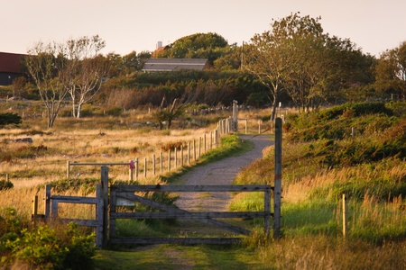 Landscape in the county Halland in Swedenの写真素材