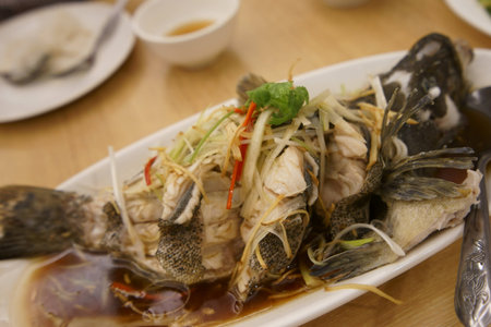 Steam fishの写真素材