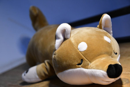 Doggy dollの写真素材