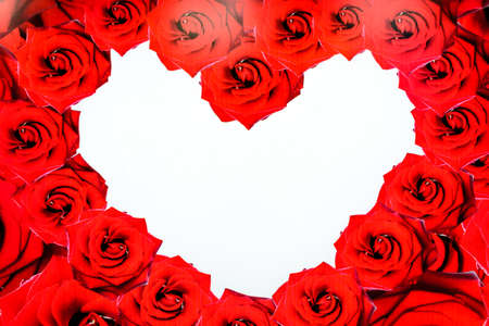 rose and space of heartの写真素材