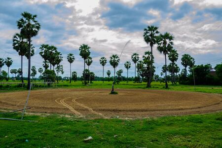 lan cow running track local sport in Petchaburi Thailandの写真素材