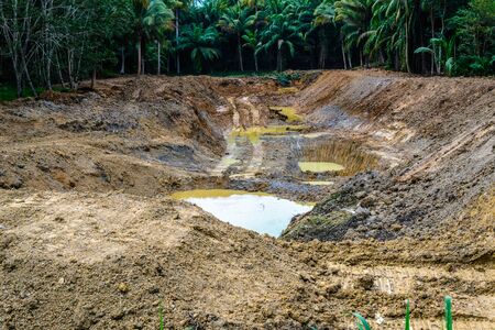 dig pool in garden coconut rubber plantation