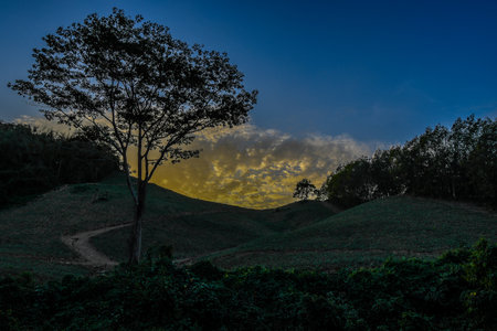 mountain  pinapple plantation sunset in thailandの写真素材
