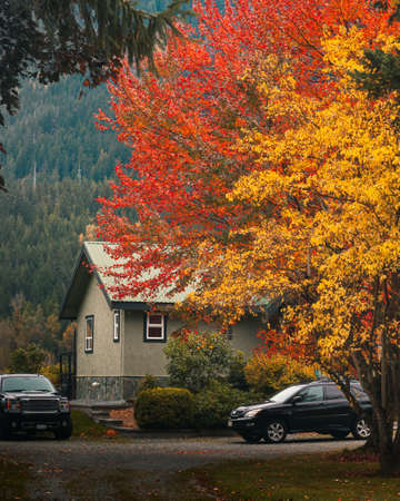 Autumn in the mountains. The house is surrounded by autumn trees.
