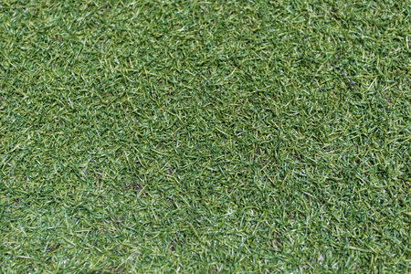 grassの写真素材