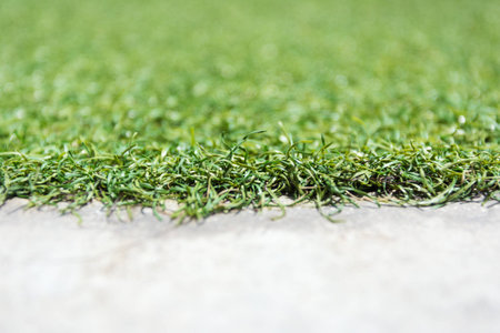 grass and cement floorの写真素材