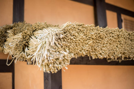 strawの写真素材