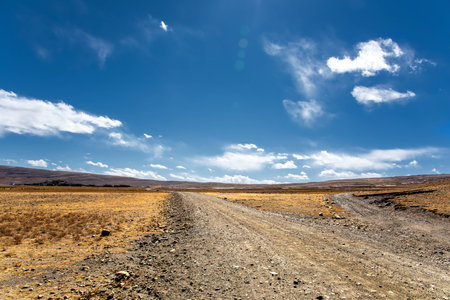 prairieの写真素材